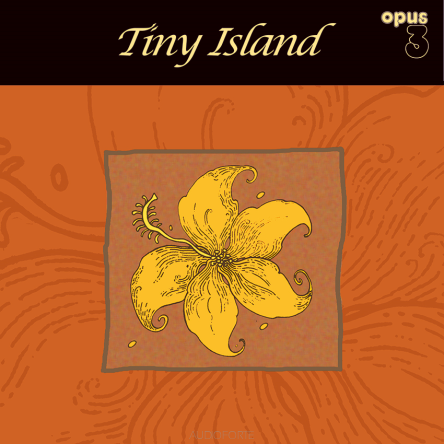 TINY ISLAND - Tiny Island - 2LP 45rpm