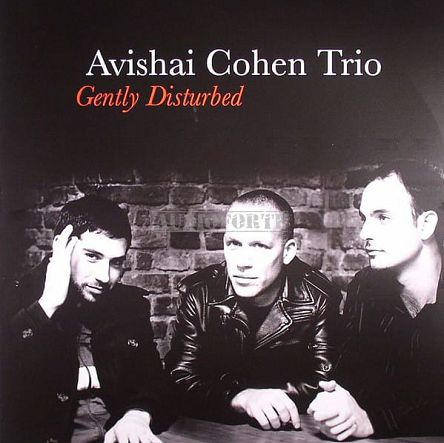 RAZDAZ RECORDZ - AVISHAI COHEN: Gently Disturbed - LP