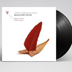 BACH, J.S.  -  MOTETTEN BWV 225-230, Philippe Herreweghe, Collegium Vocale Gent - 2LP