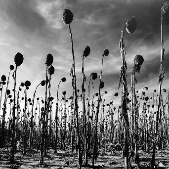 DEAD CAN DANCE: Anastasis, 2LP