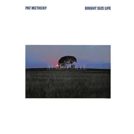 METHENY, PAT - BRIGHT SIZE LIFE  LP