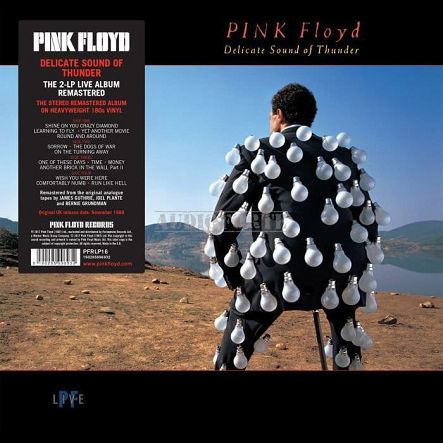 WARNER MUSIC - PINK FLOYD: Delicate Sound Of Thunder, 2LP