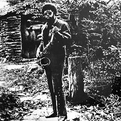 SUPERIOR VIADUCT - JOE MCPHEE: Nation Time - LP